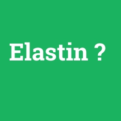 Elastin