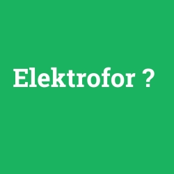 Elektrofor
