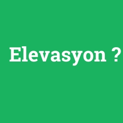 Elevasyon