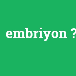 embriyon
