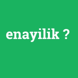 enayilik foto galeri