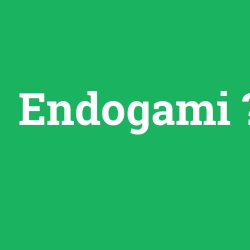 Endogami