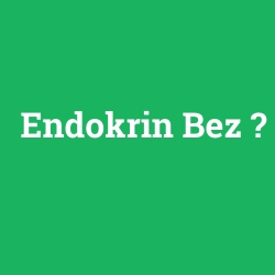 Endokrin Bez