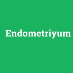 Endometriyum foto galeri