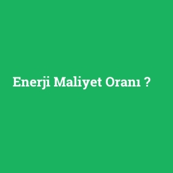 Enerji Maliyet Oranı