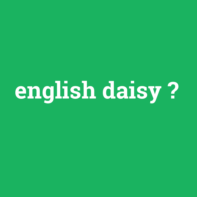 english daisy, english daisy nedir ,english daisy ne demek