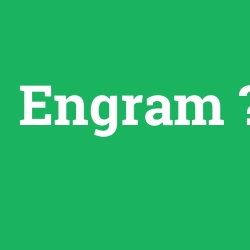 Engram foto galeri