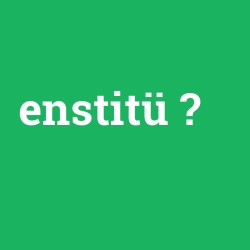 enstitü