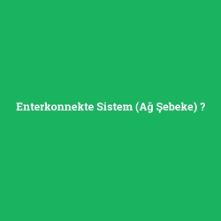 Enterkonnekte Sistem (Ağ Şebeke)