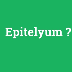 Epitelyum foto galeri