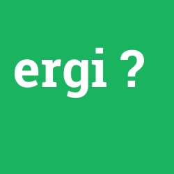 ergi