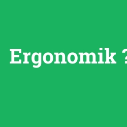 Ergonomik