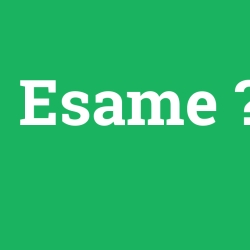 Esame foto galeri