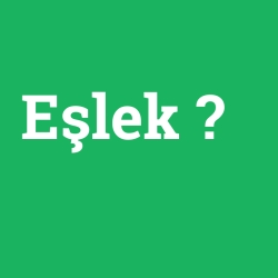 Eşlek foto galeri