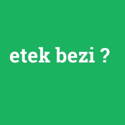 etek bezi