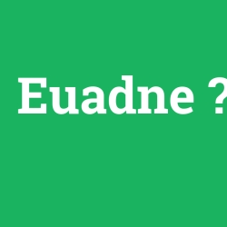 Euadne