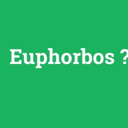 Euphorbos