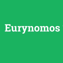 Eurynomos