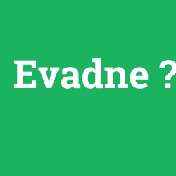 Evadne