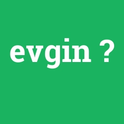 evgin