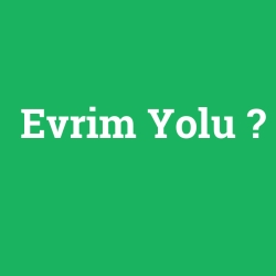 Evrim Yolu