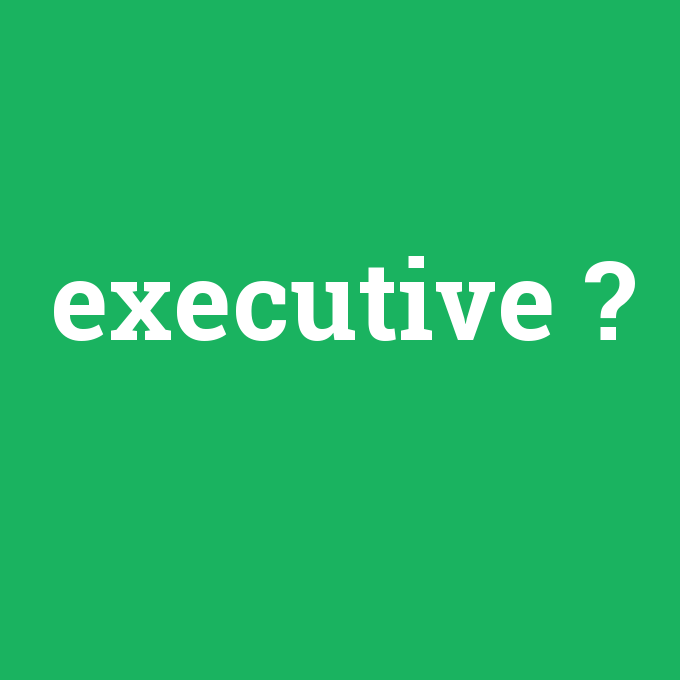 executive, executive nedir ,executive ne demek