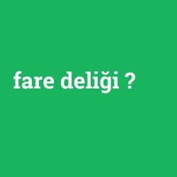 fare deliği