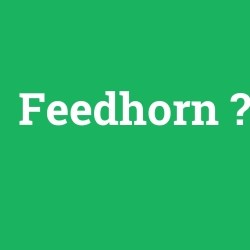 Feedhorn