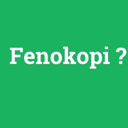 Fenokopi