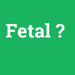 Fetal