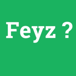 Feyz