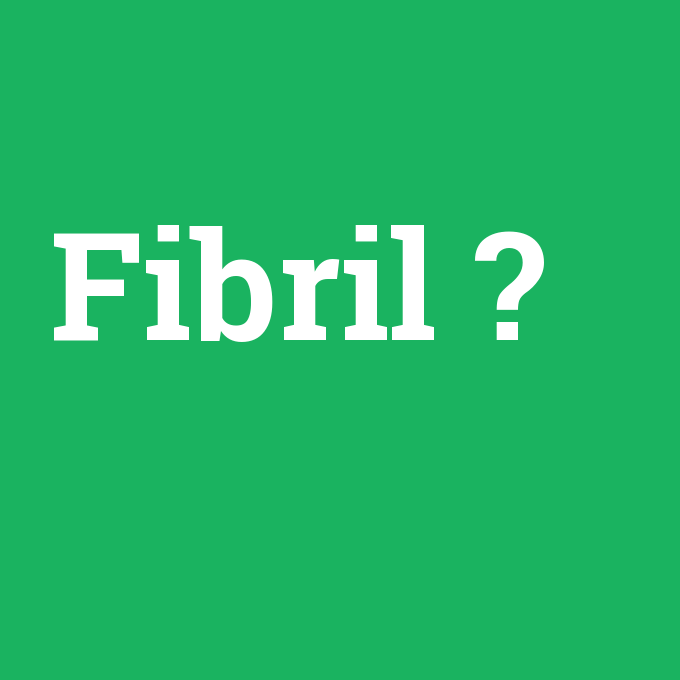 Fibril, Fibril nedir ,Fibril ne demek