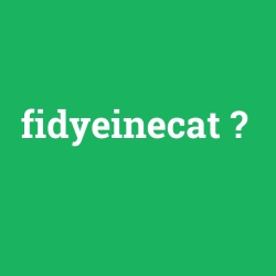 fidyeinecat