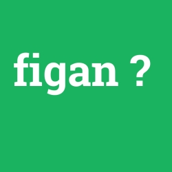figan