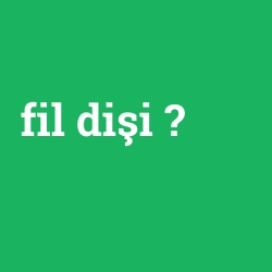 fil dişi