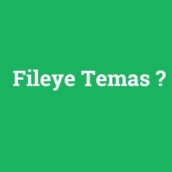 Fileye Temas