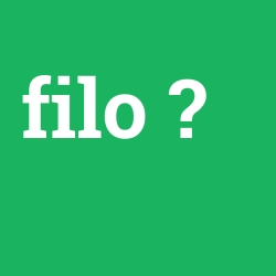 filo