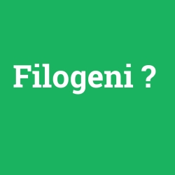 Filogeni foto galeri