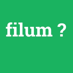 filum