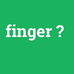 Finger