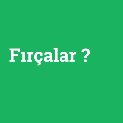 Fırçalar