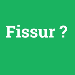 Fissur