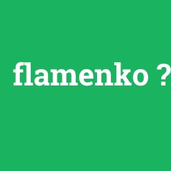 flamenko foto galeri