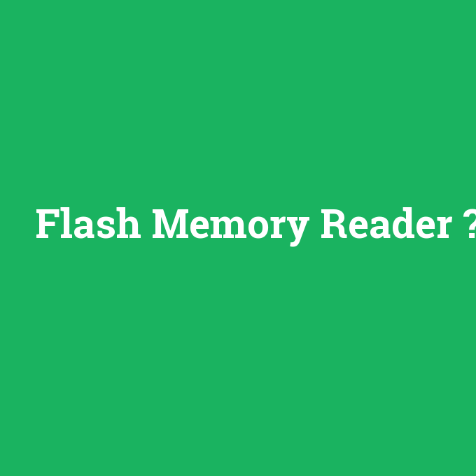 Flash Memory Reader, Flash Memory Reader nedir ,Flash Memory Reader ne demek