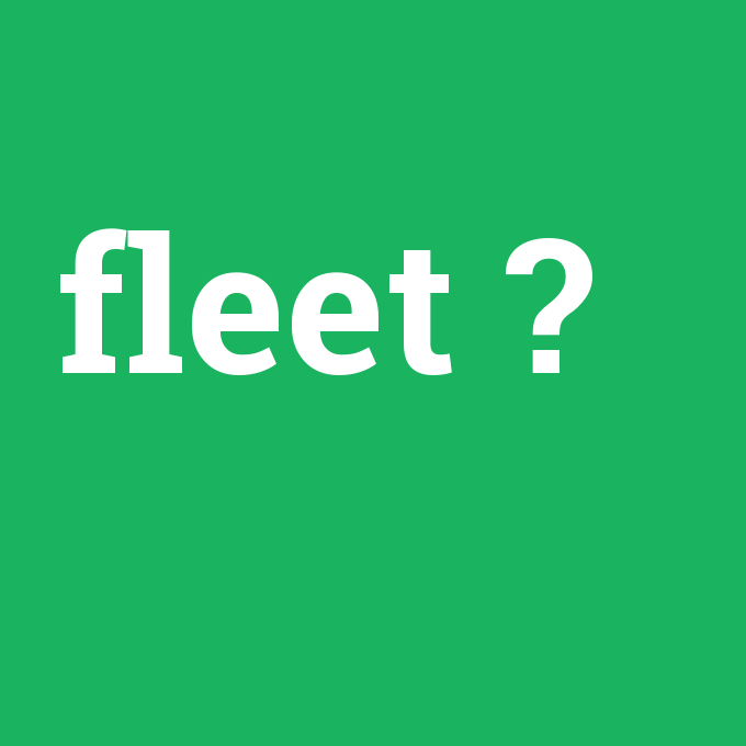 fleet, fleet nedir ,fleet ne demek