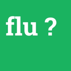 flu