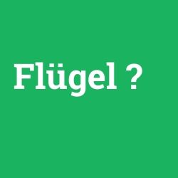 Flügel
