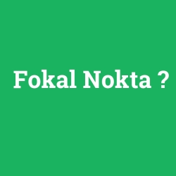 Fokal Nokta