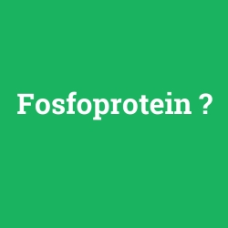 Fosfoprotein