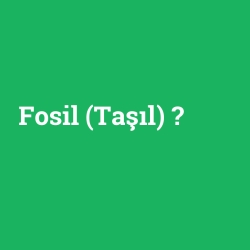 Fosil (Taşıl)
